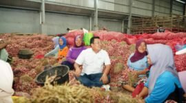 Kepala Badan Pangan Nasional (Bapanas) Arief Prasetyo Adi saat melakukan kunjungan kerja ke gudang dan cold storage bawang merah CV Surabaya Perkasa Sejahtera. (Dok. Tim Komunikasi Bapanas)