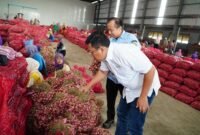 Kepala Badan Pangan Nasional (Bapanas) Arief Prasetyo Adi Meninjau produksi bawang merah  di Brebes, Jawa Tengah. (Dok. Tim Komunikasi Bapanas)