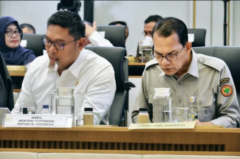 Wakil Menteri Pertanian, Sudaryono saat Rapat Kerja bersama Komisi IV DPR RI, Kamis (12/9/2024). (Dok. Kementerian Pertanian)