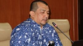 Ketua Satuan Tugas Koordinator Supervisi (Korsup) Wilayah V KPK Dian Patria. (Dok. papua.go.id)